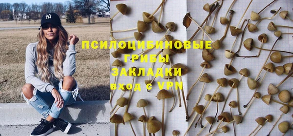 хмурый Вязьма