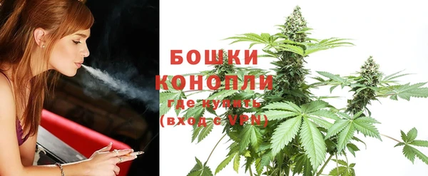 дживик Вяземский