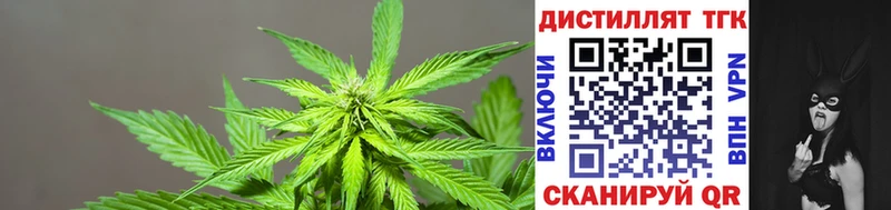 Дистиллят ТГК THC oil  как найти закладки  Петровск-Забайкальский 
